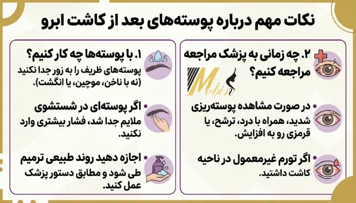 آیا پوستههای ابرو بعد از کاشت را هنگام شستشو جدا کنیم؟